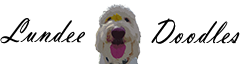 Lundeedoodles